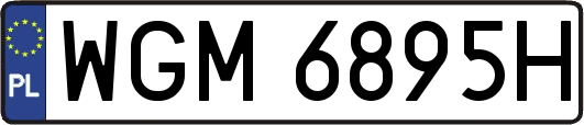 WGM6895H