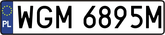 WGM6895M