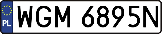 WGM6895N