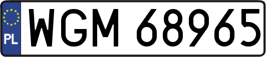 WGM68965