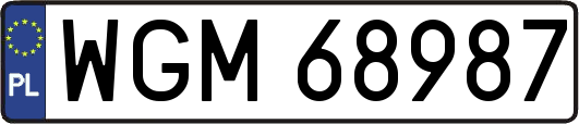 WGM68987