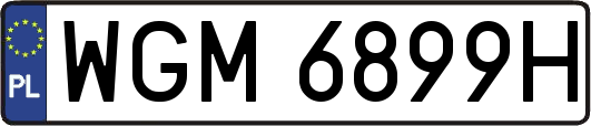 WGM6899H