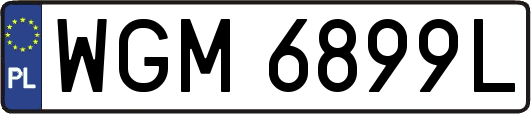 WGM6899L