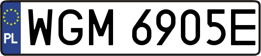 WGM6905E