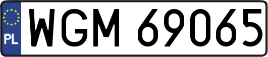 WGM69065