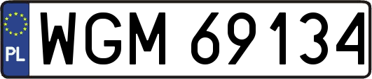WGM69134
