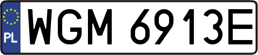 WGM6913E