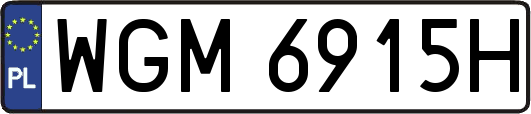 WGM6915H
