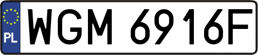 WGM6916F