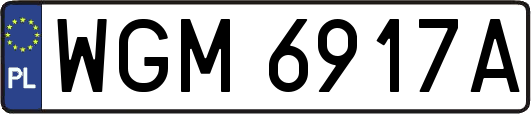 WGM6917A