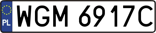 WGM6917C