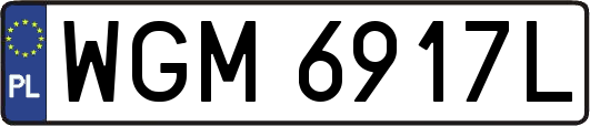 WGM6917L