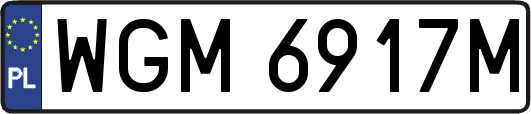 WGM6917M