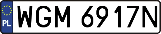 WGM6917N