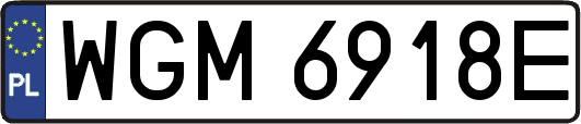 WGM6918E