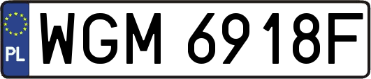 WGM6918F