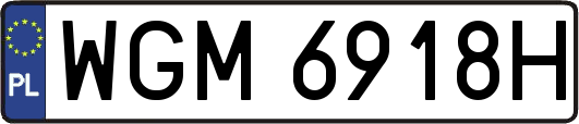 WGM6918H