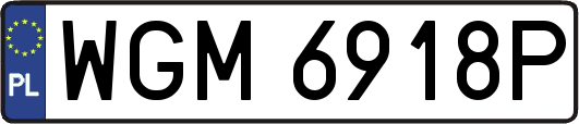 WGM6918P