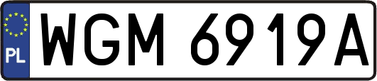 WGM6919A