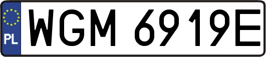 WGM6919E