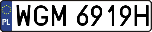 WGM6919H