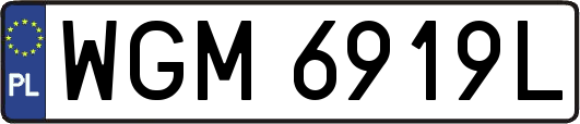 WGM6919L