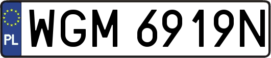 WGM6919N