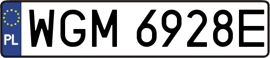 WGM6928E