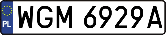 WGM6929A