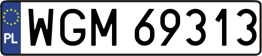 WGM69313