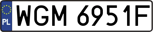 WGM6951F