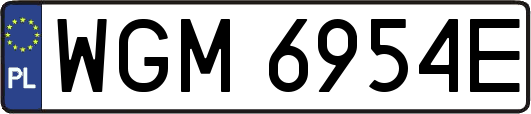 WGM6954E
