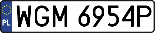 WGM6954P