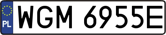 WGM6955E