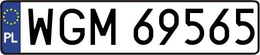 WGM69565