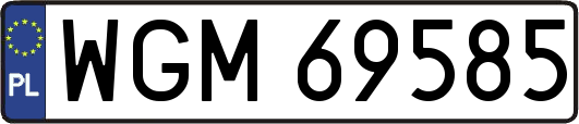 WGM69585