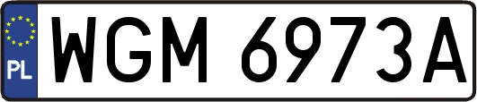 WGM6973A