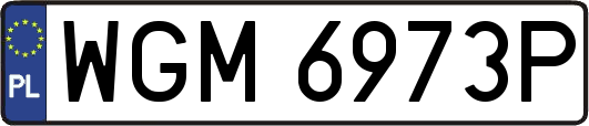 WGM6973P