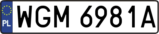 WGM6981A