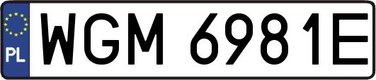 WGM6981E