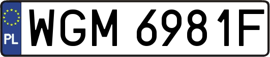 WGM6981F