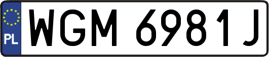 WGM6981J