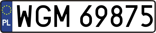 WGM69875