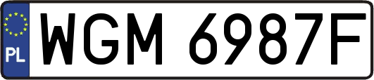 WGM6987F