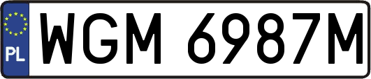 WGM6987M