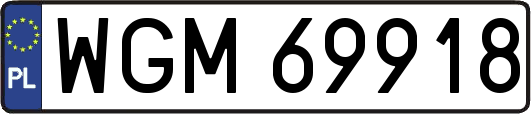 WGM69918
