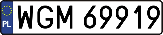 WGM69919