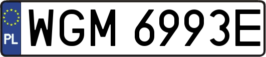 WGM6993E