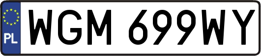 WGM699WY