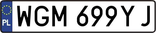 WGM699YJ